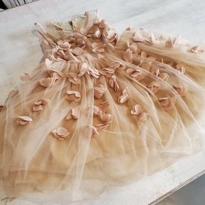 Trish Scully Champagne Dress with Flowers